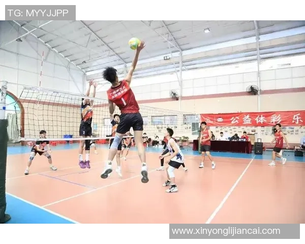 排球心理素质排行榜揭晓广州排球队荣登第十位展现团队实力与韧性