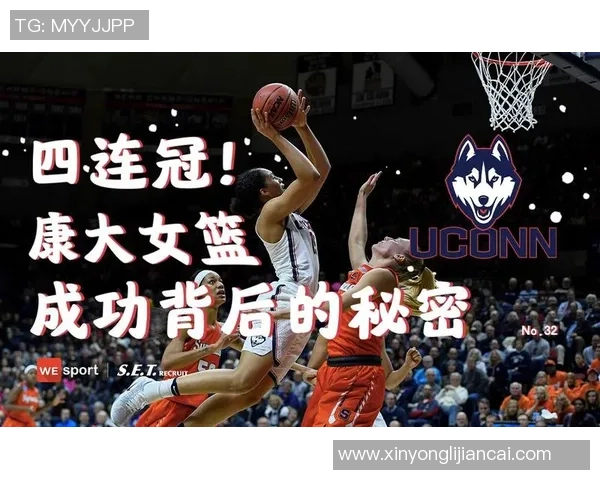 李磊专访：探寻篮球领域成功背后的秘密与经验分享