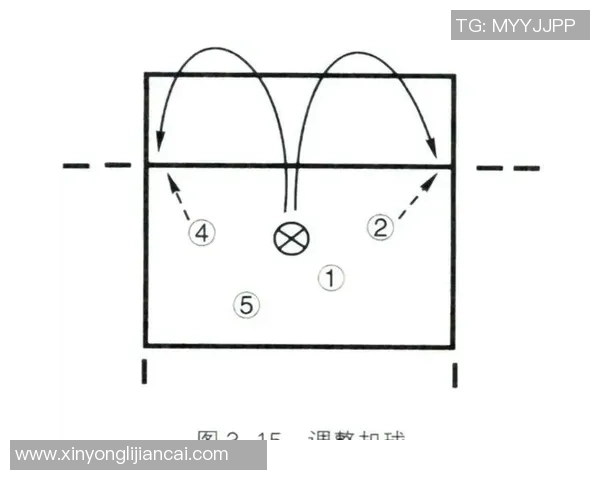 重庆排球队的控制打法深度分析与战术解读