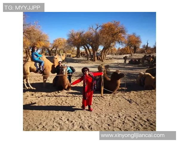 黄伟专访：畅谈滑板人生与梦想的追逐之旅