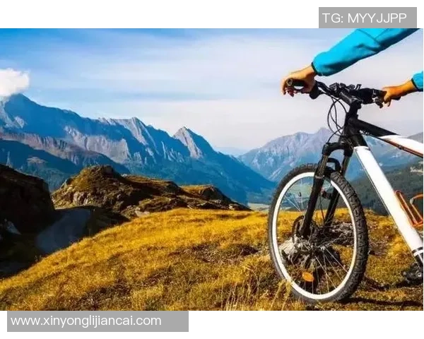 极限运动的蜕变与成长：上海极限运动队的奋斗与转型之路纪实