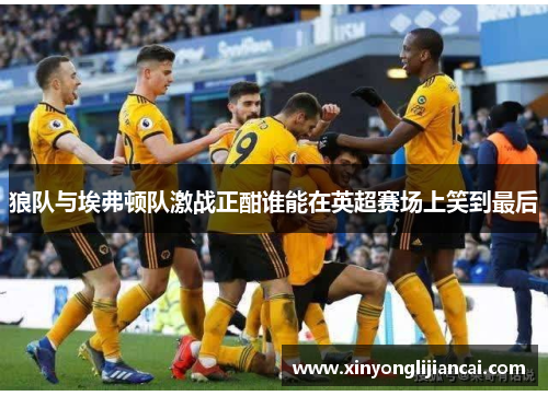 狼队与埃弗顿队激战正酣谁能在英超赛场上笑到最后